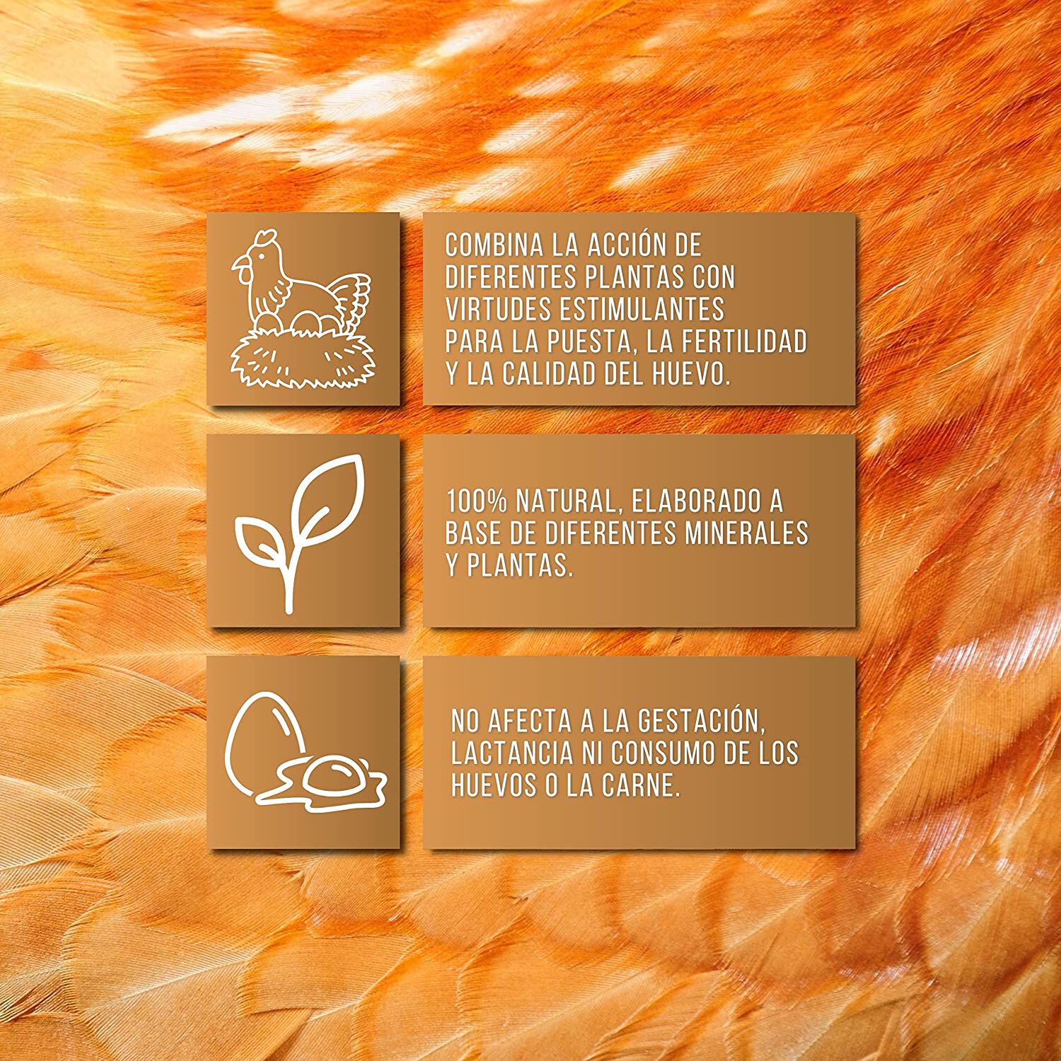 Finca casarejo solupuesta suplemento alimenticio para gallinas y aves de corral, , large Imagen numero 2